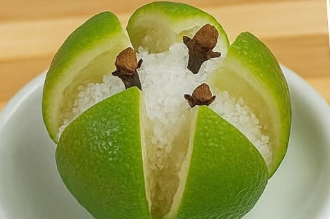 Natural Method to Get Rid of Flies, Mosquitoes, and Cockroaches